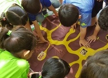 2019년 노원구 숲해설 용역 사업